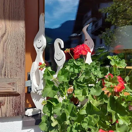 Appartement Gartenwohnung Ritter