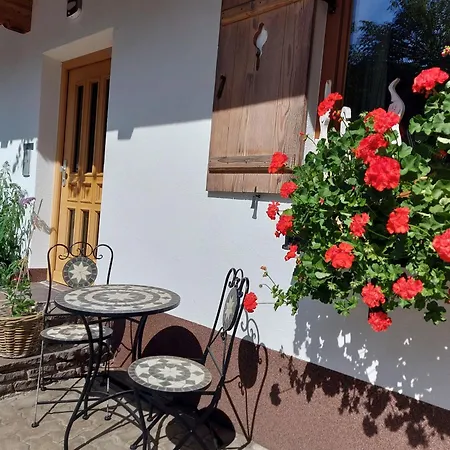 Gartenwohnung Ritter Appartement Kitzbühel
