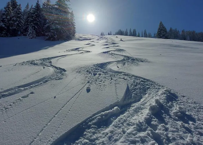 Gartenwohnung Ritter Apartment